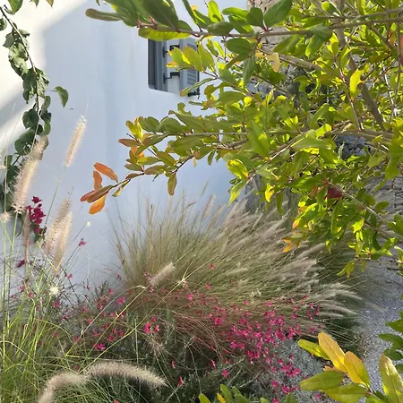 Villa Avlia Naxos City