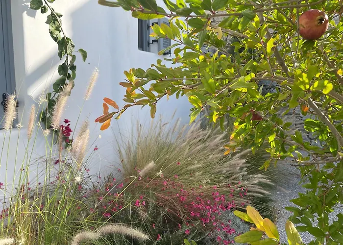 Vila Avlia Mikri Vigla